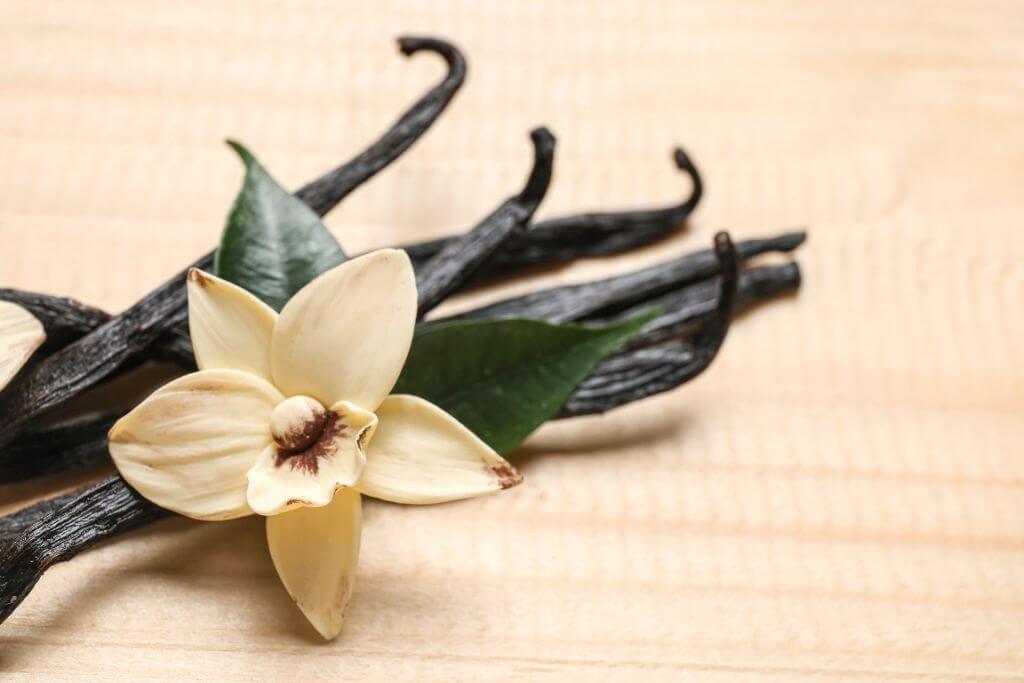Vanilla flower sitting on top of vanilla bean pods, all resting on a table with a light brown tablecloth