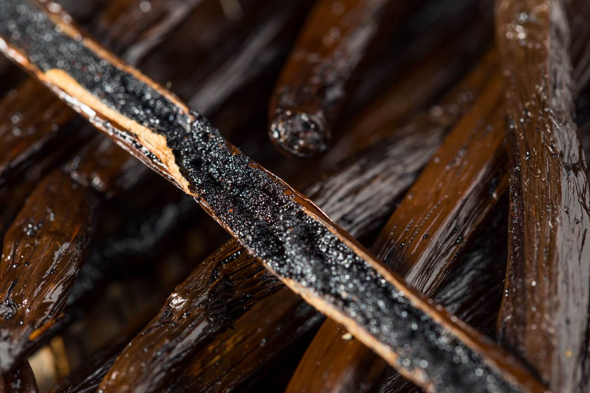Close-up photo of vanilla bean pods