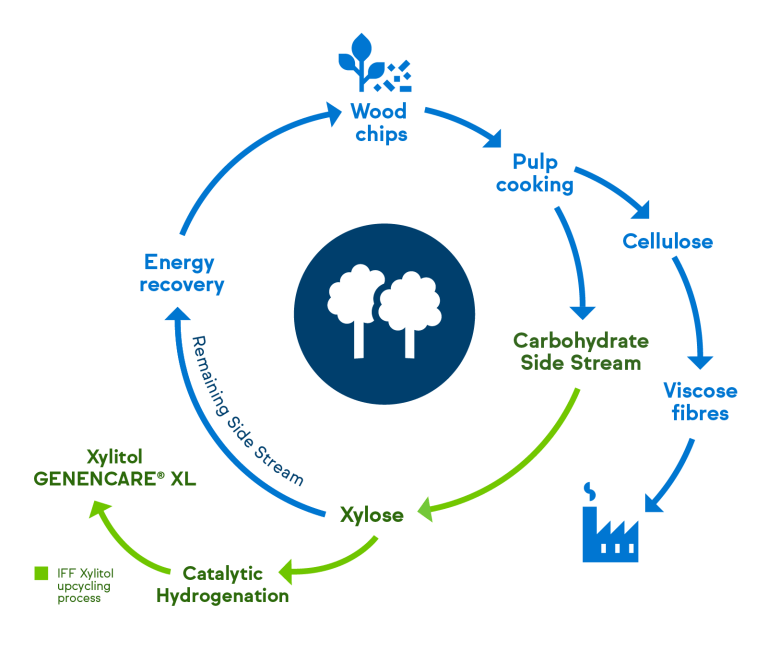 GENENCARE XL Xylitol Upcycled