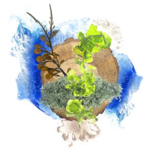 LUND X MAUVIEL OCEANOL BLASON 8th May 2025 – 6000 x 6000px