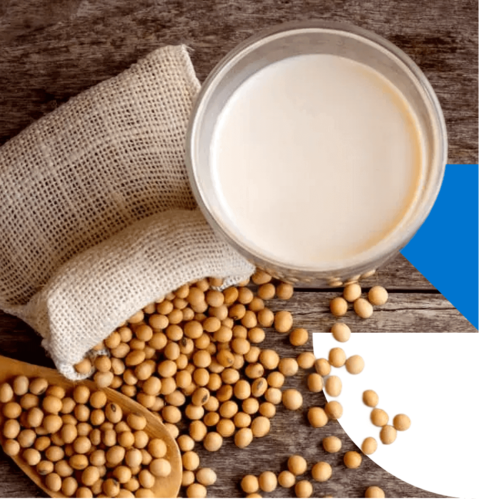 content2-protein