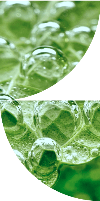 decor-green