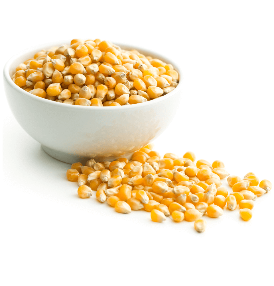 Crop Biologicals - IFF