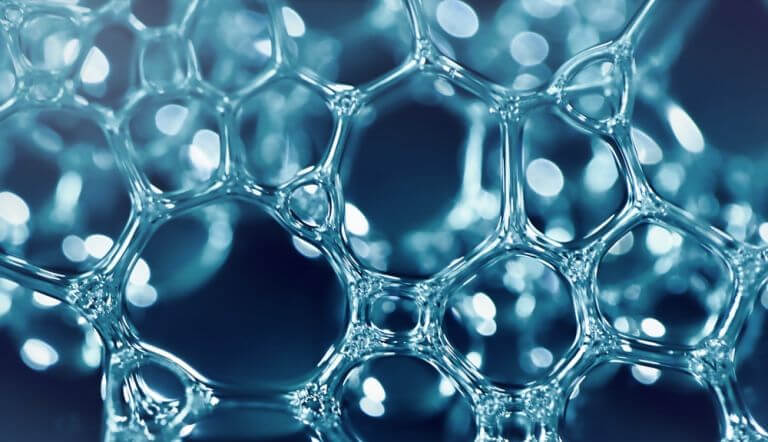 Origins of Biotech Laundry Enzymes