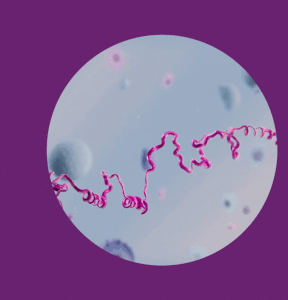Solving the Laundry Enzymes Stability Challenge