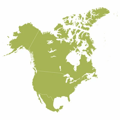 csm_IFF_CARE4U_WorldMap_Regions_V2_NA_800x800_102324_3642008550_6529a4325ad1a6005443230bacf905e9.jpg
