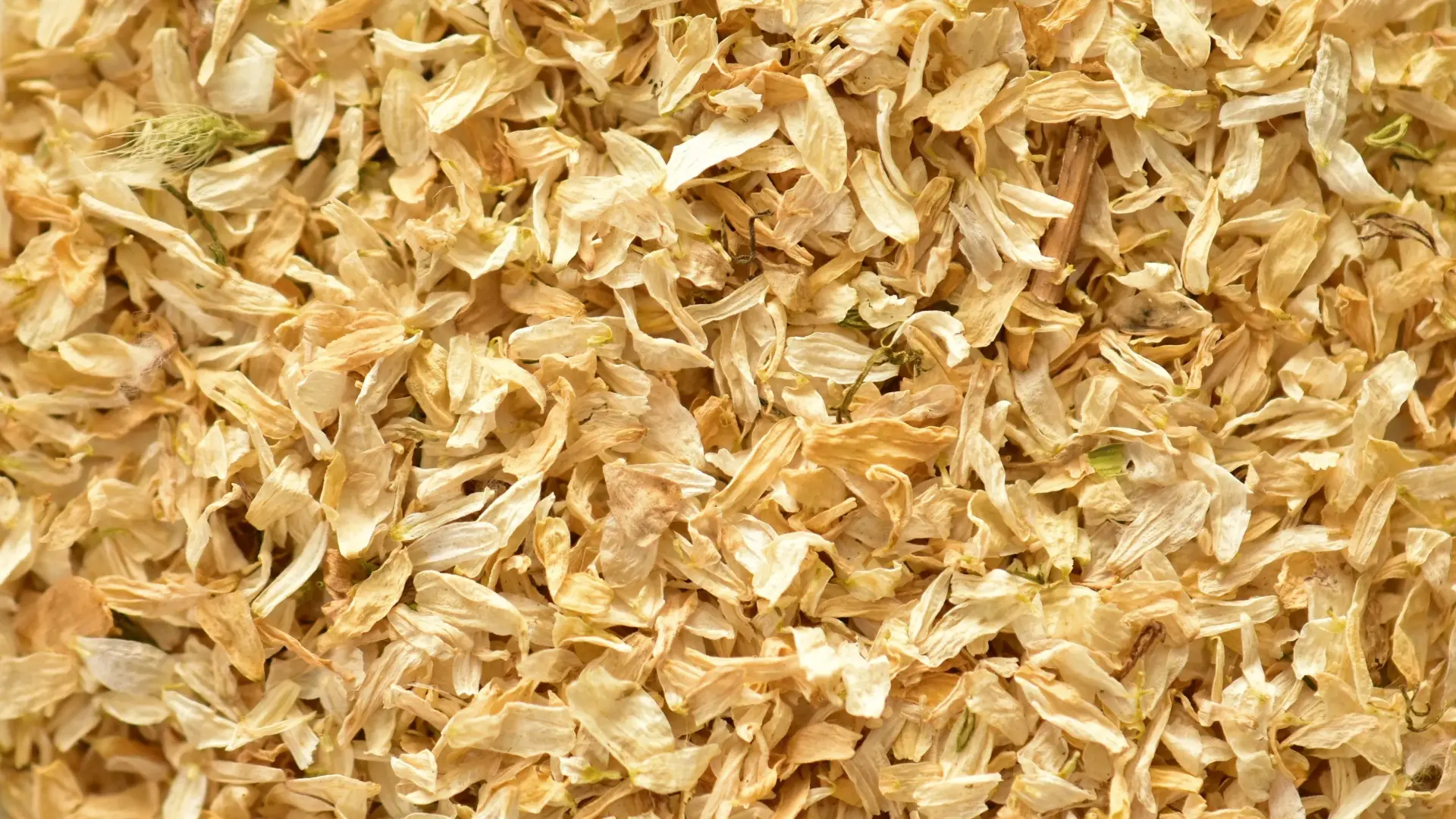 csm_Ingredients_Chamomile_Banner_e4d41796c4_ae2f8e8bbca74c30f2e12410dea84c6f.jpg