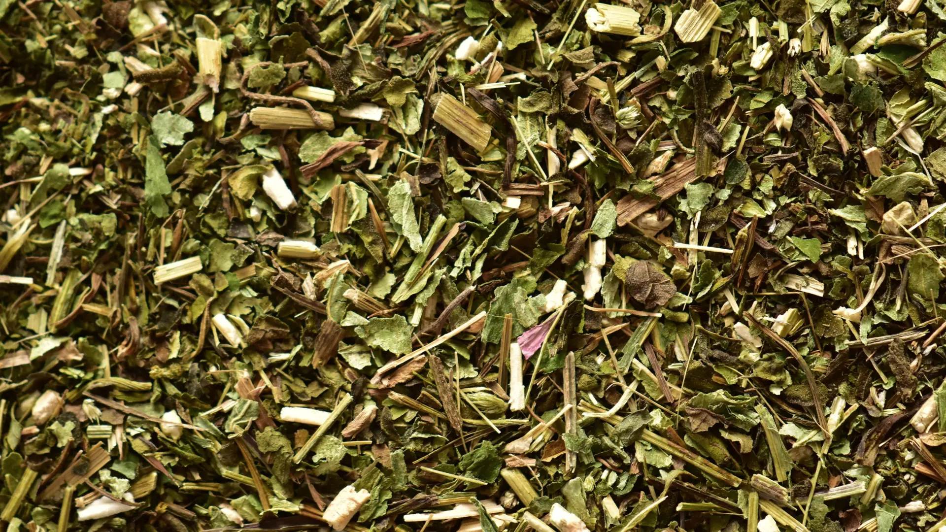 csm_Ingredients_Echinacea_Banner_1c1f175934_101b4c655bd7e06f6ef34a31b989118d.jpg