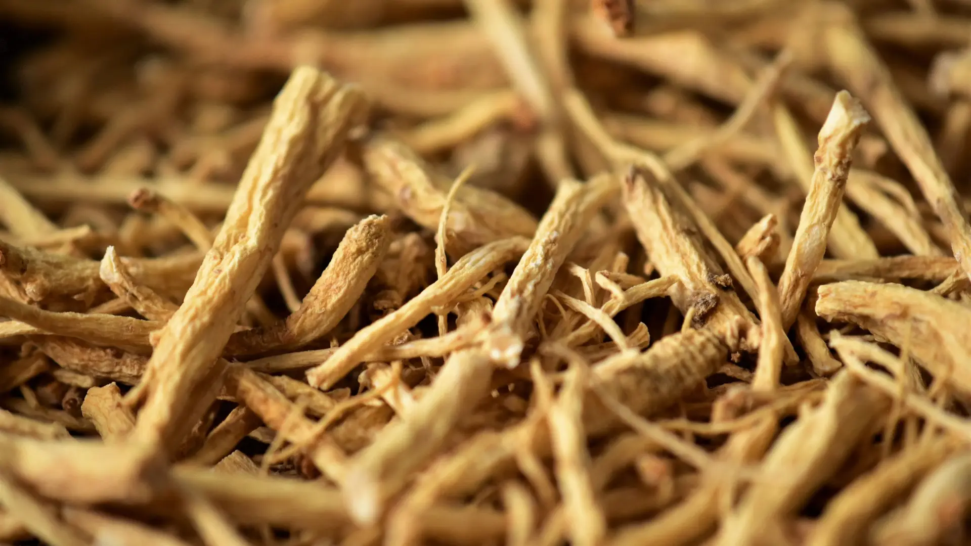 csm_Ingredients_Ginseng_Banner_f99c313f9a_b6e0f9d636624e90e6abf20764b6e1e4.jpg