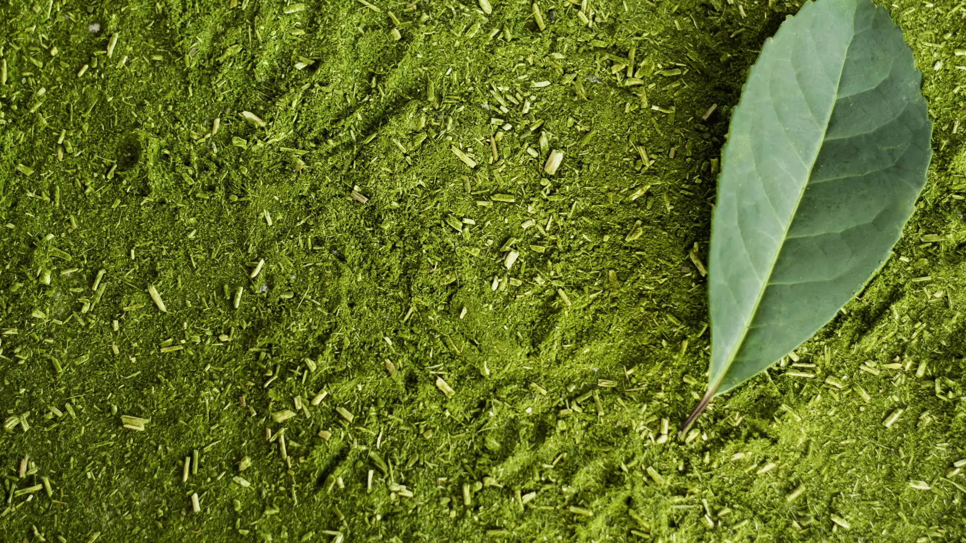 csm_Ingredients_Green-Mate_Banner_fc76620501_4aa73f818360e95d09e3d4b6816c8ee0.jpg
