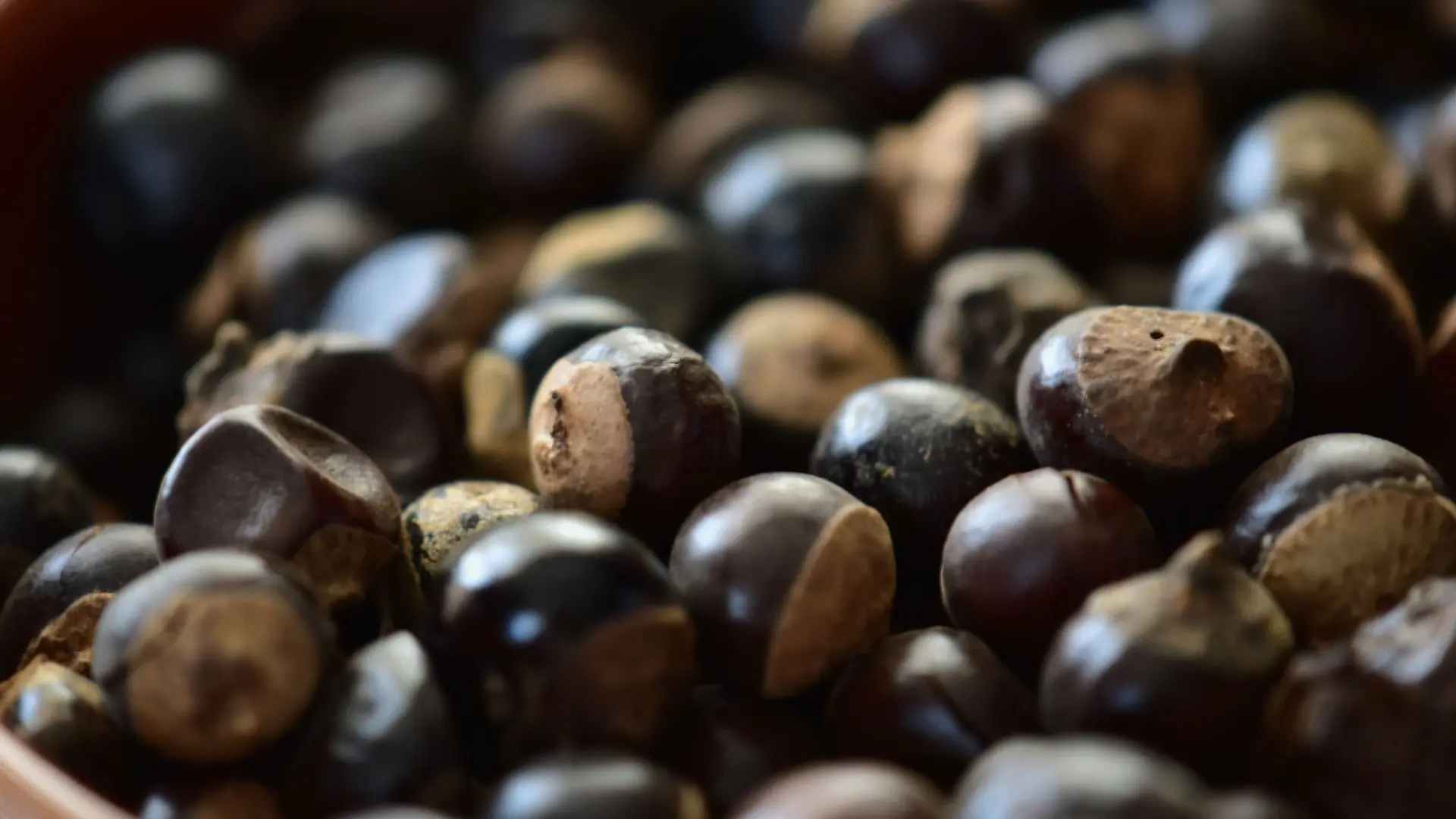 csm_Ingredients_Guarana_Banner_70a55bdd6c_8782a7ca18d0d734126ca70659b2f3bd.jpg