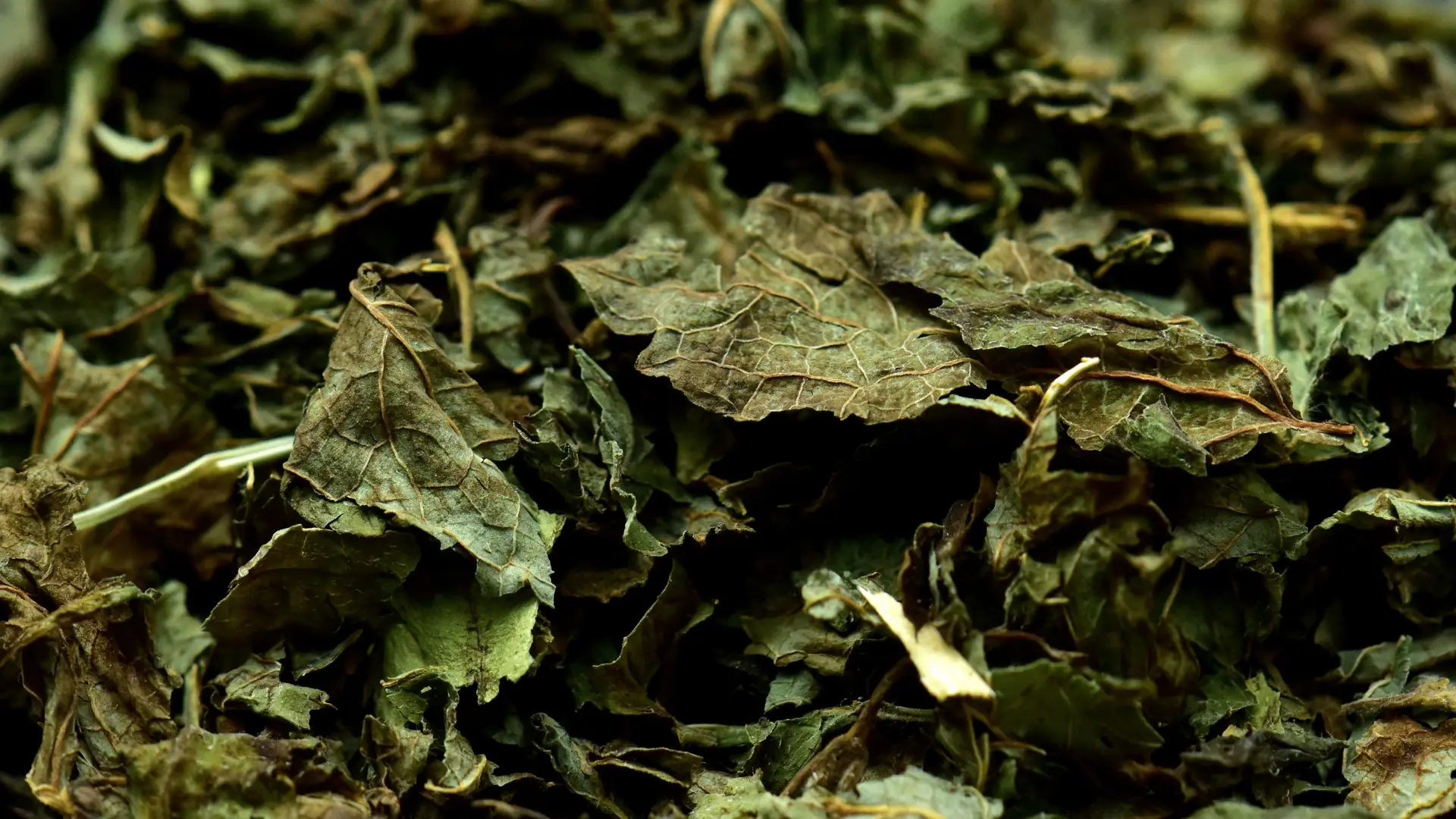 csm_Ingredients_Lemon-Balm_Banner_c402af9f0d_25b3406721202aa73ffb3db0e18d792b.jpg