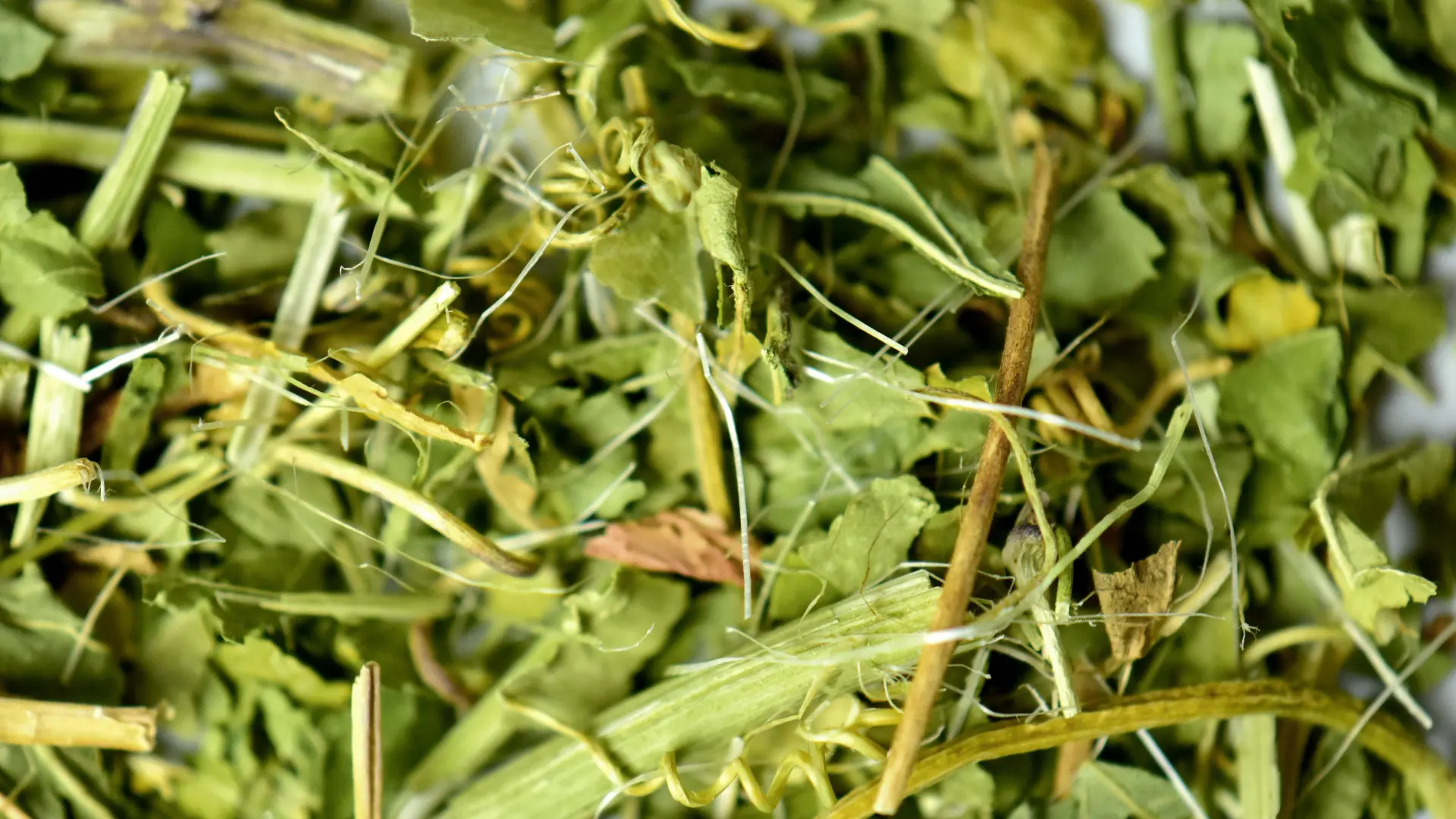 csm_Ingredients_Passion-Flower_Banner_aaa4c733ec_49e14b058ad873285ddf323c8d209ffc.jpg