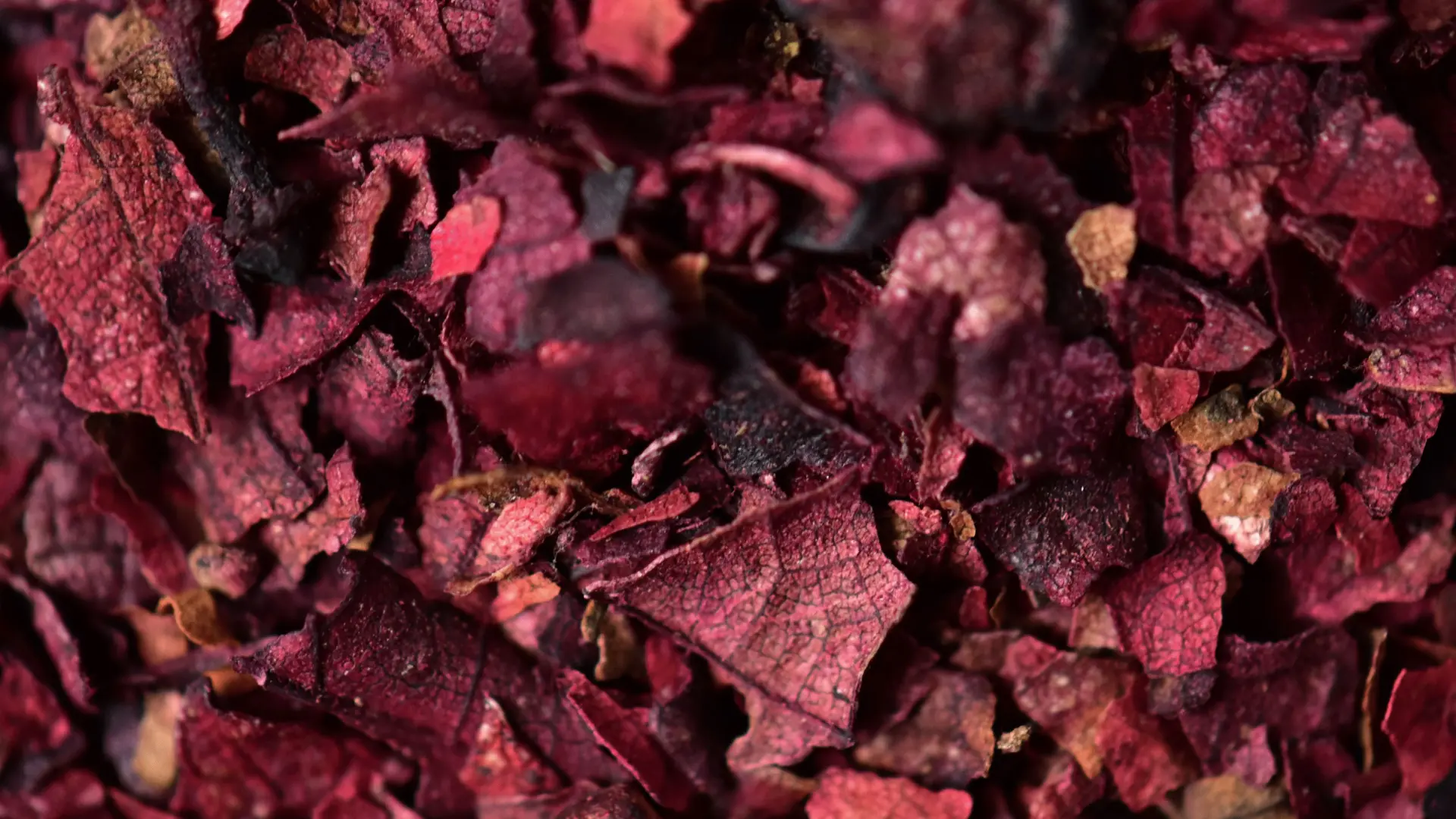 csm_Ingredients_Redvine_Banner_a57a96a4cf_b877ced359f3887b9a3c86daf9bf20a5.jpg