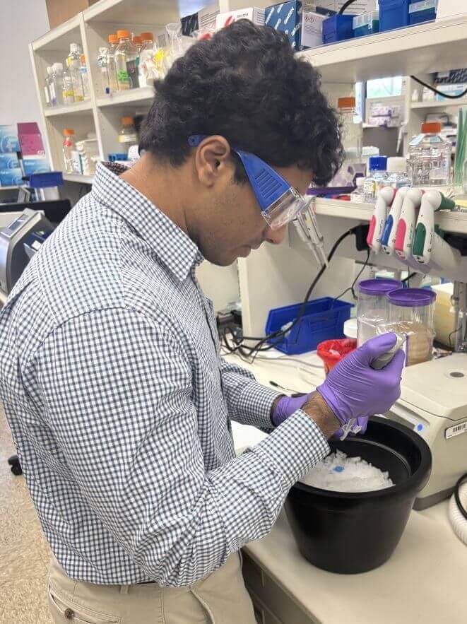 Where Science Meets Opportunity: Bioscience Interns at IFF - IFF
