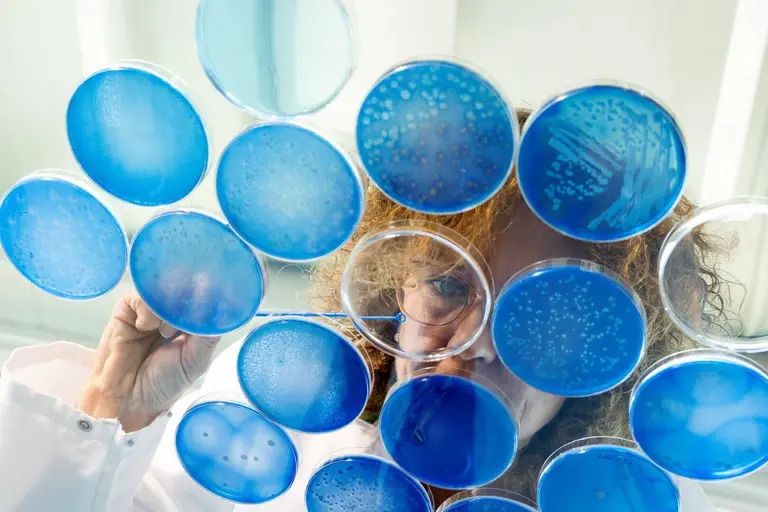 Bioscience and Biotechnology Scientific Innovation | IFF