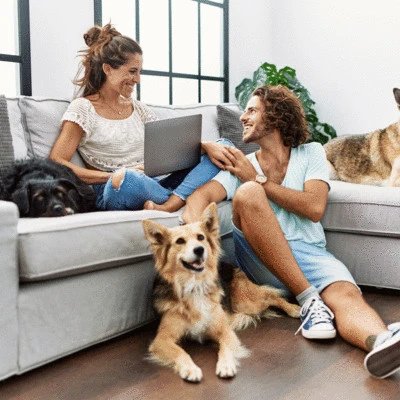 IFF_Pet-Health_Additional-Insights_Pet-Parent-Spending.jpg
