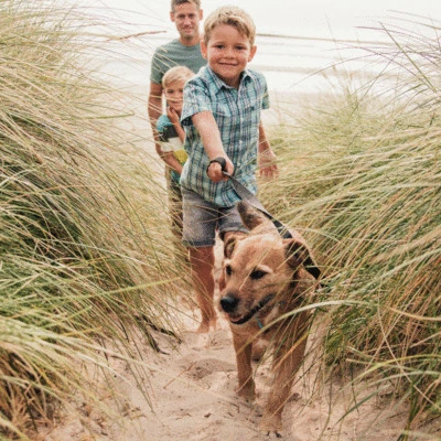 IFF_Pet-Health_Additional-Insights_Supplements_Image.jpg