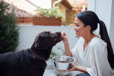 Pet Food
