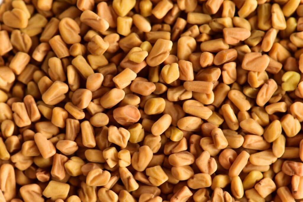 Fenugreek