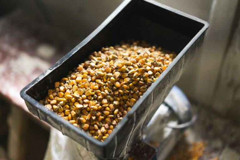 Unlocking the Power of Corn Kernel Fiber – Why Every Molecule Matters - IFF