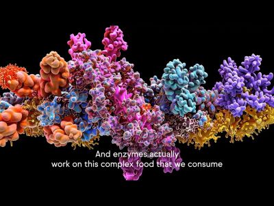 enzyme-video_thumbnail