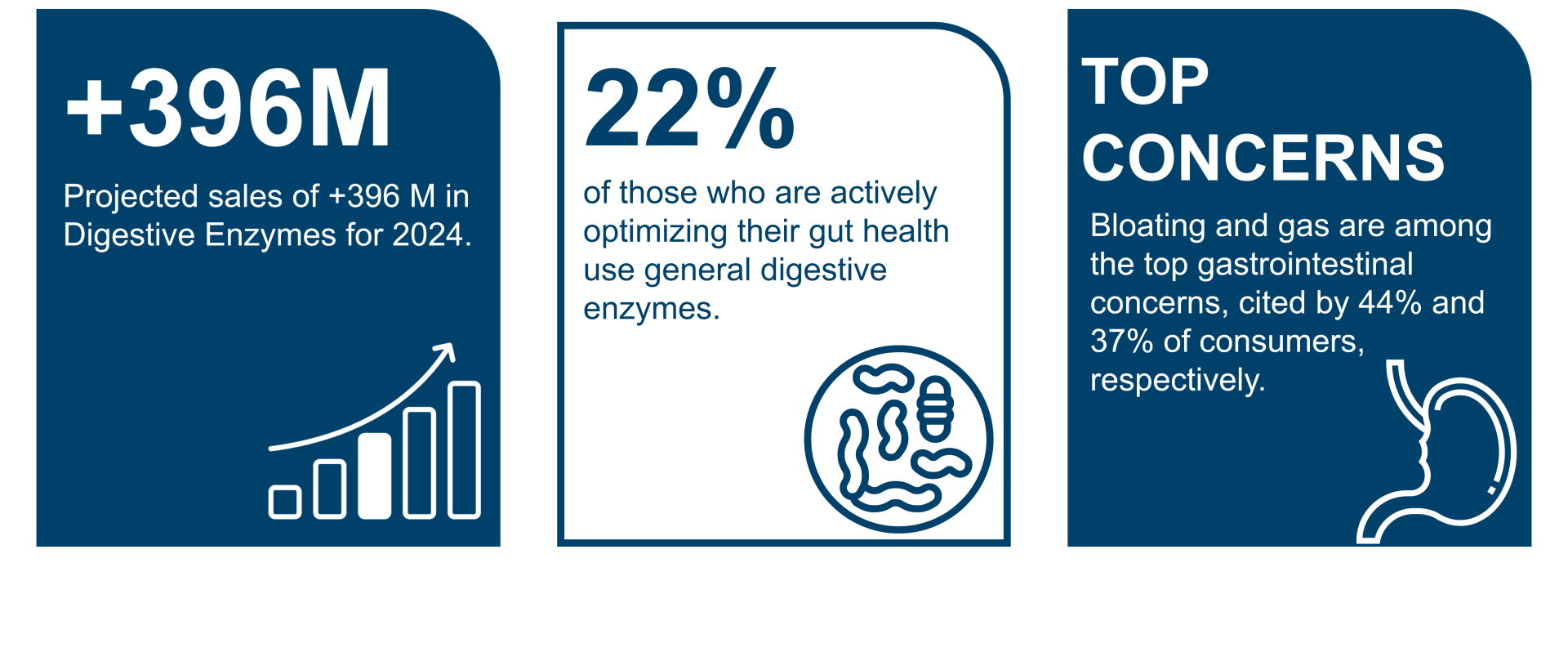 Digestive enzyme and probiotic market insights highlighting metabolic health, microbiome support, and probiotic formulation expertise from a health supplements manufacturer