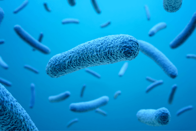 ¿Qué es el microbioma? De palabra de moda a motor biológico