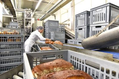 Fortalecimiento de la masa en la panificación industrial: más consistencia, eficiencia y estabilidad del proceso