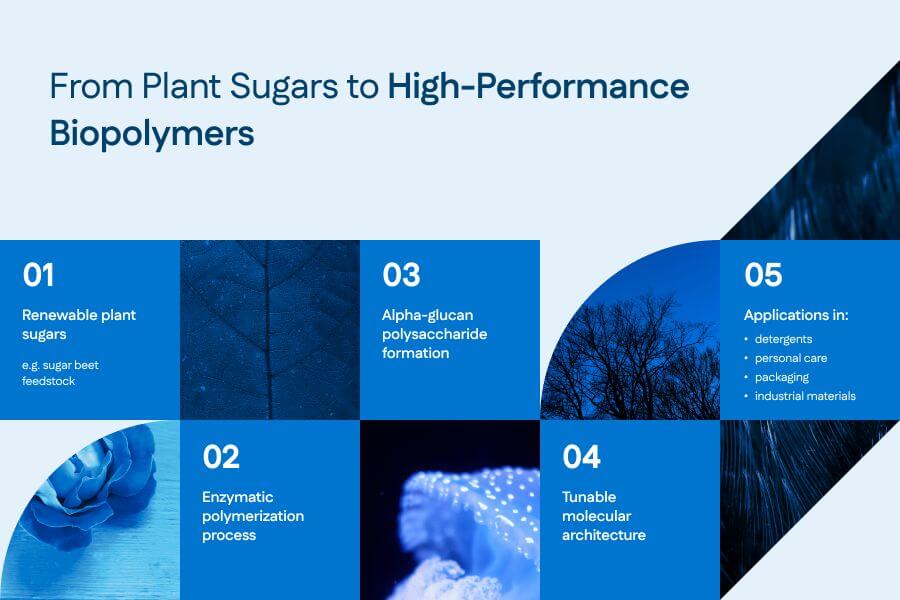Biopolymers Power High-Performance Sustainable Materials