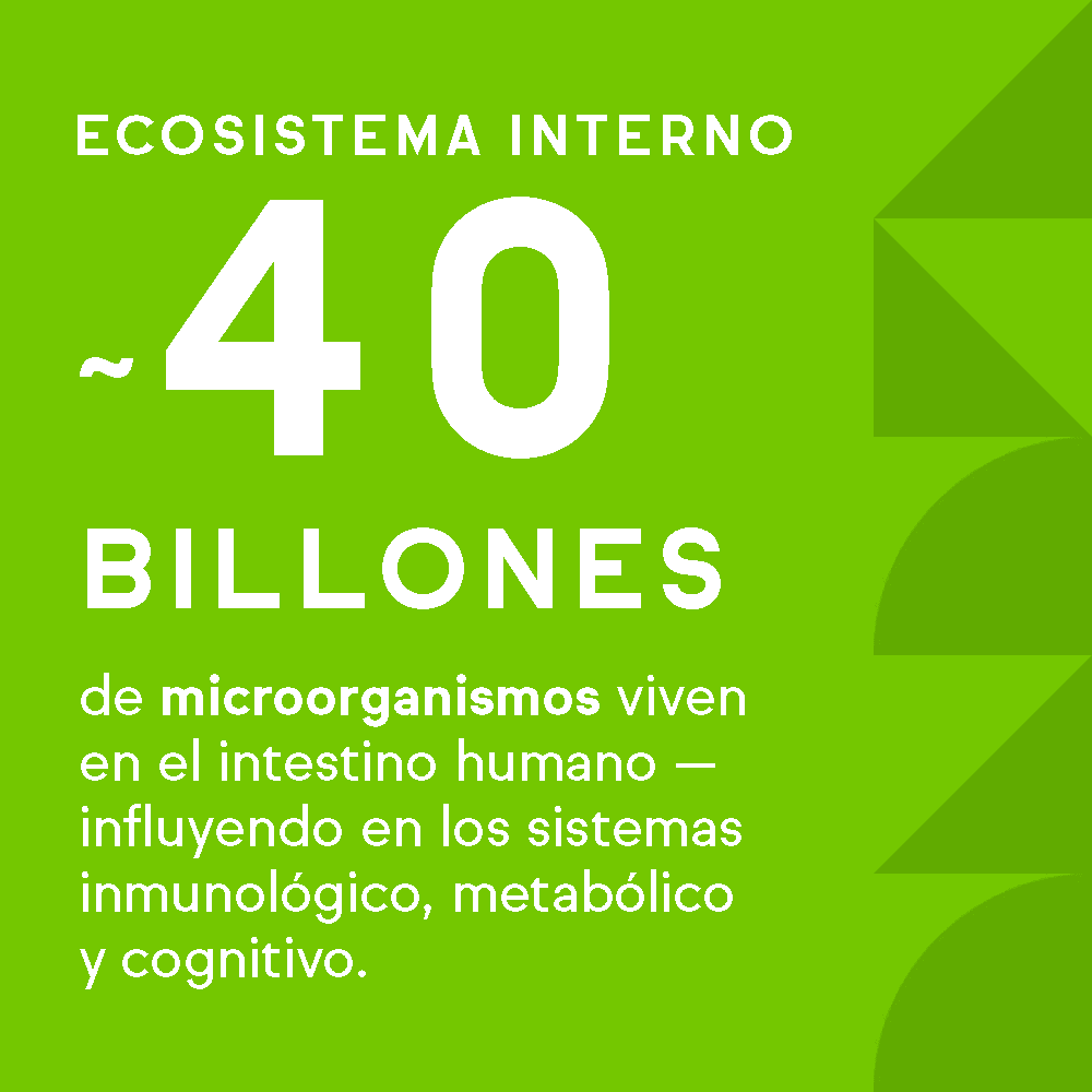 Healthspan _ microbioma _ spanish