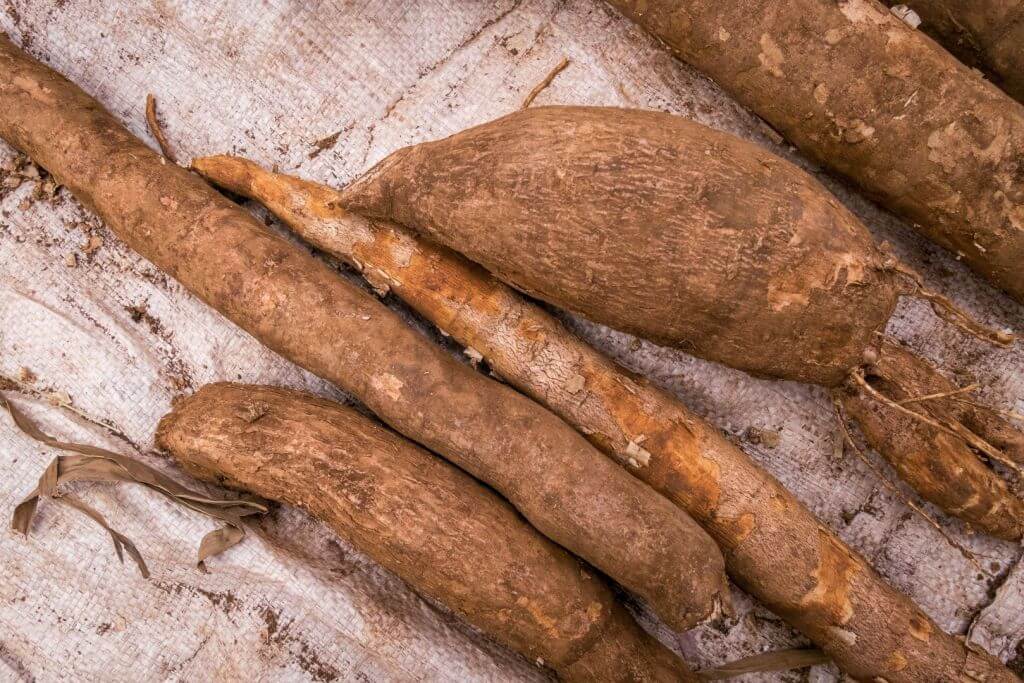 HB GP AFR Cassava